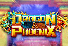 Dragon & Phoenix